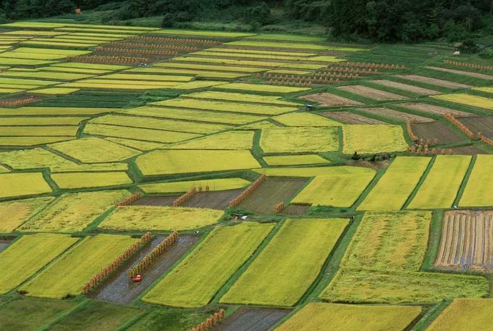 土地測(cè)量