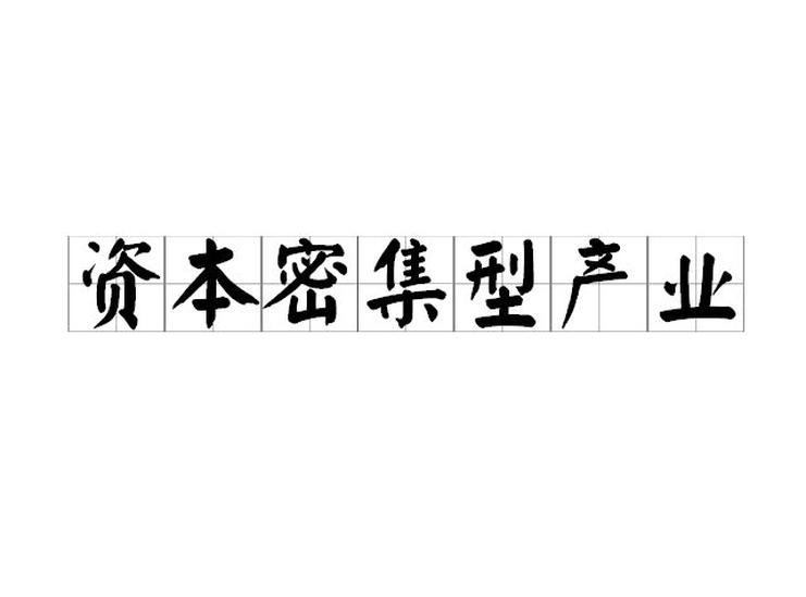 資本密集型產(chǎn)業(yè)