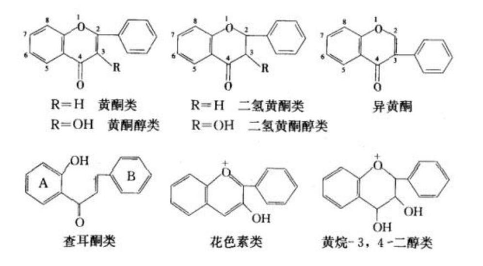 黃酮類