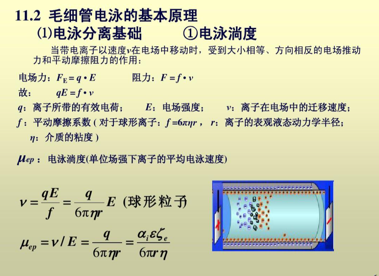 毛細(xì)管電色譜