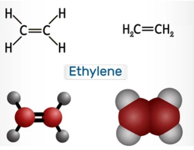 乙烯