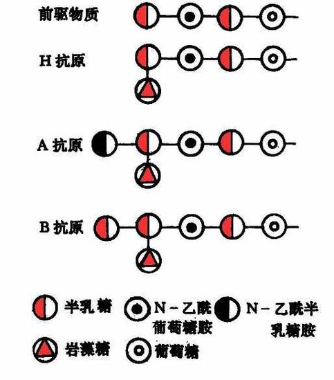 抗原物質(zhì)