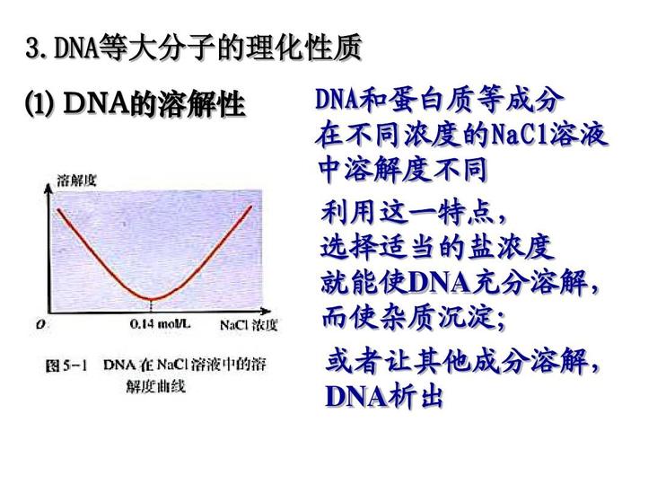 蛋白質(zhì)溶解度