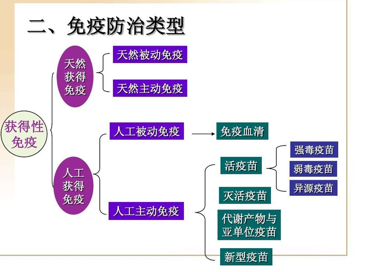 主動(dòng)免疫