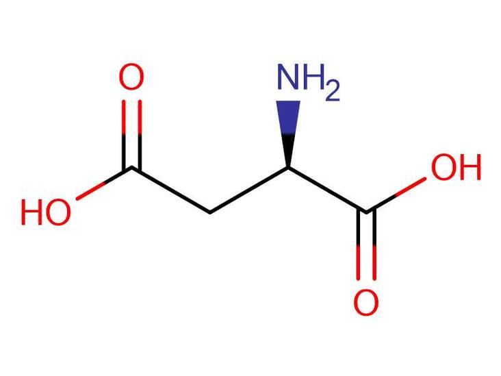 D-天冬氨酸