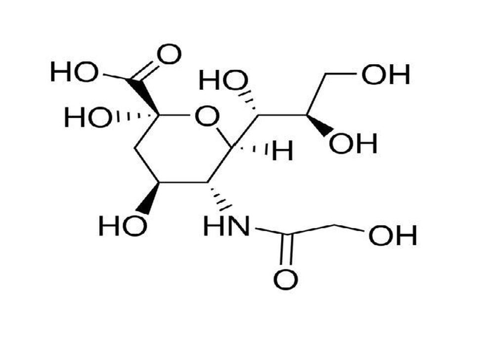 N-乙酰神經氨酸