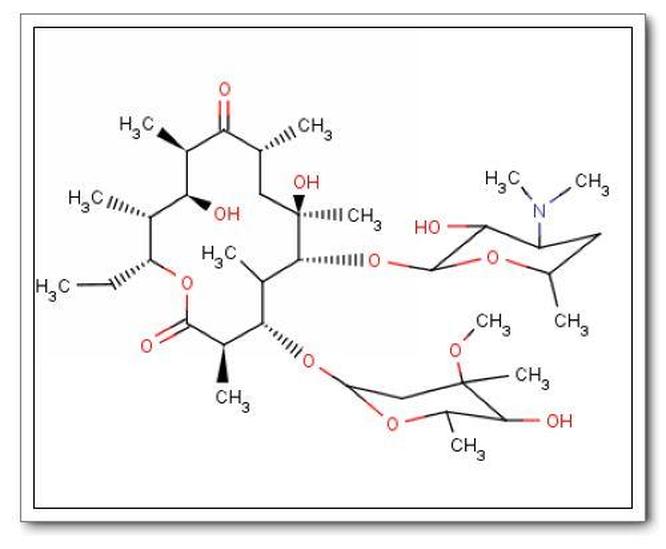 大環(huán)內酯類抗生素