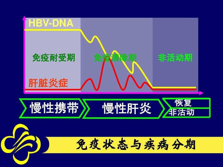 HBV-DNA