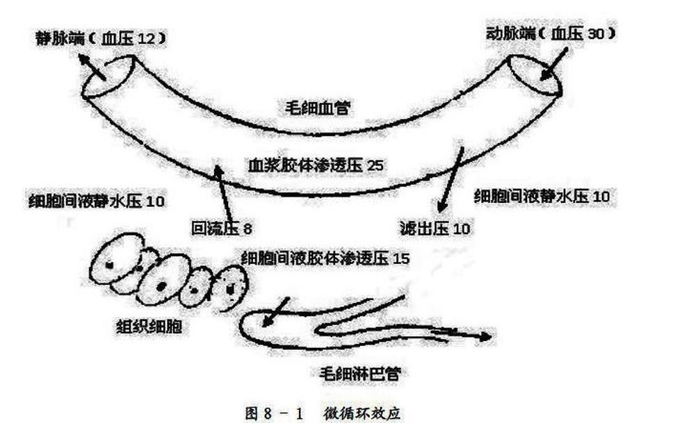 膠體滲透壓