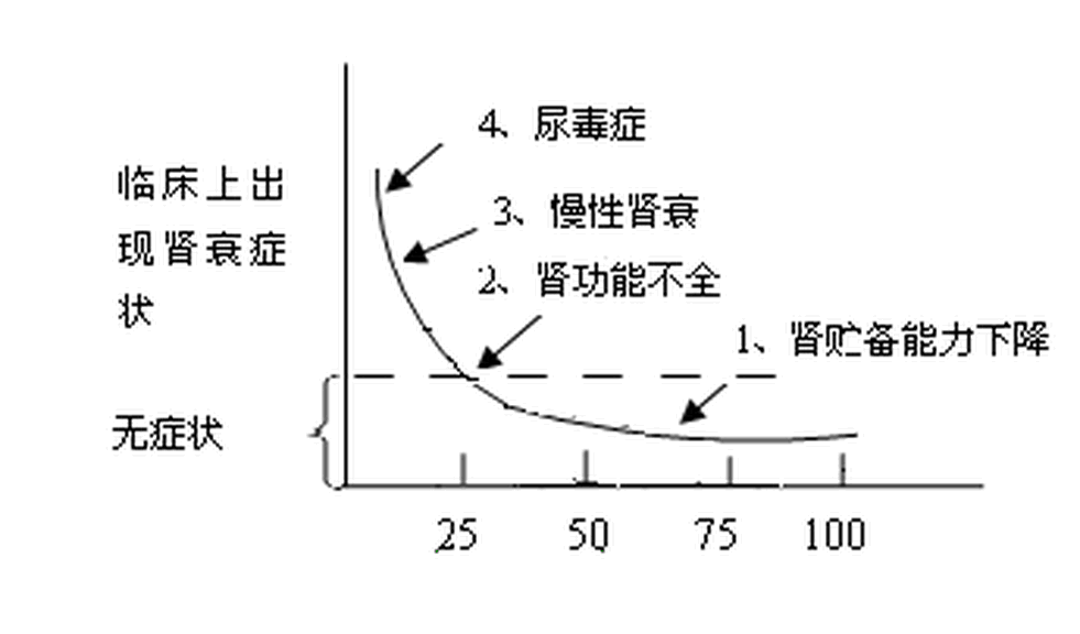 腎前性