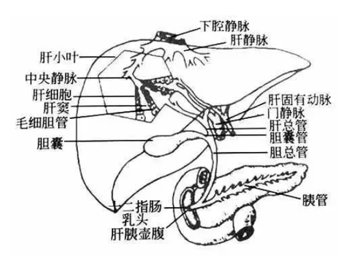 匯管區(qū)