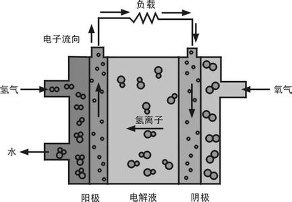 燃料電池