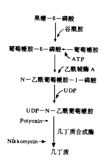 農用抗生素