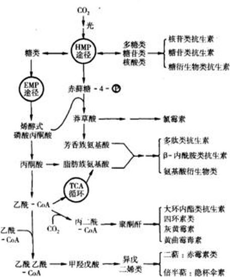 次生代謝物