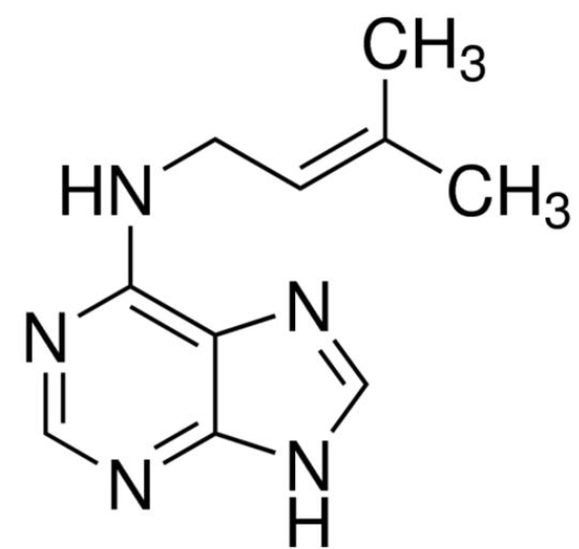 異戊烯