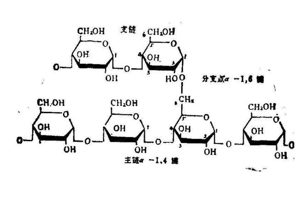 直鏈淀粉