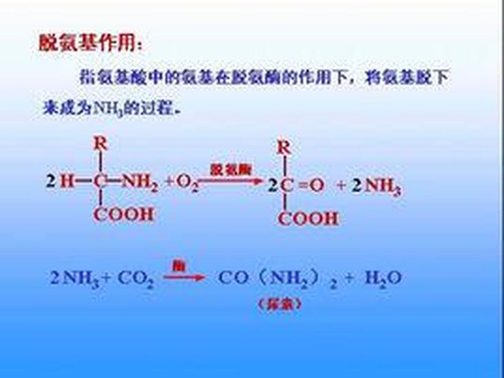 脫氨基