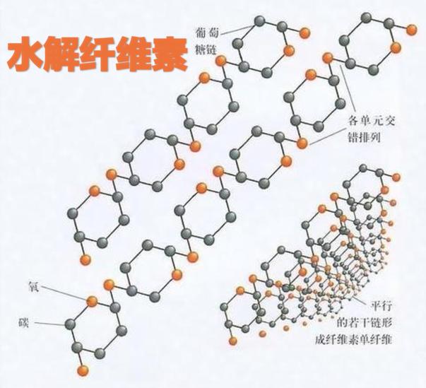 水解纖維素