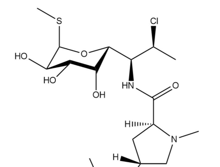 克林霉素