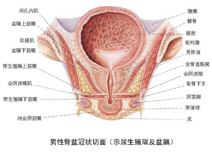 尿道炎