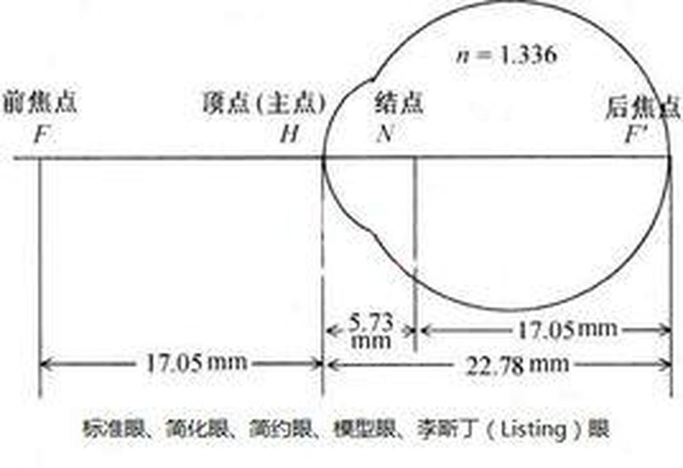 簡化眼