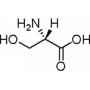 絲氨酸