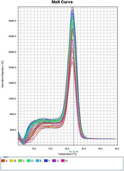 實(shí)時(shí)熒光定量PCR