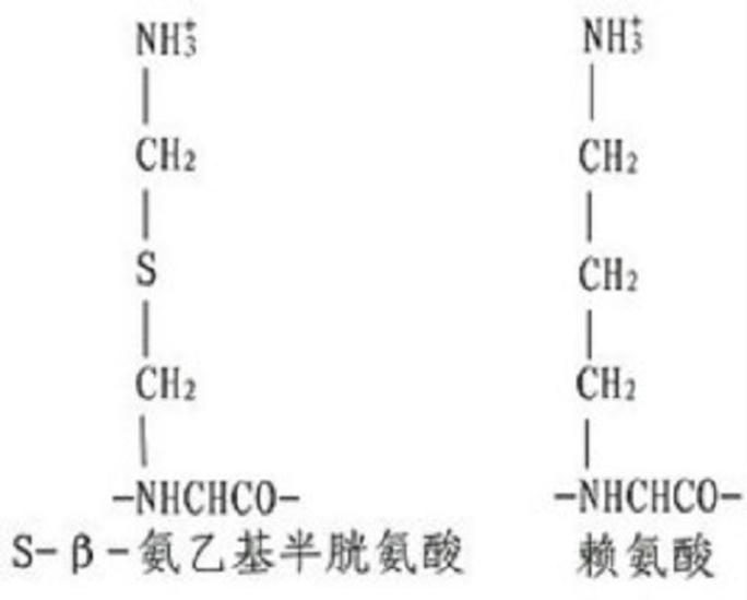 蛋白水解酶