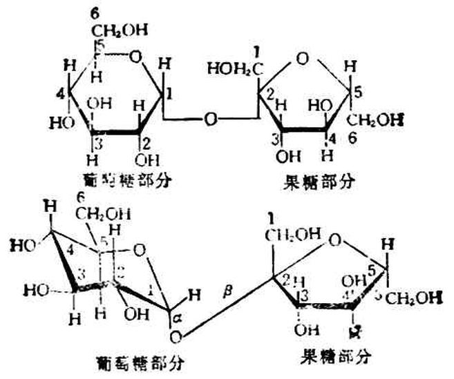 還原性糖