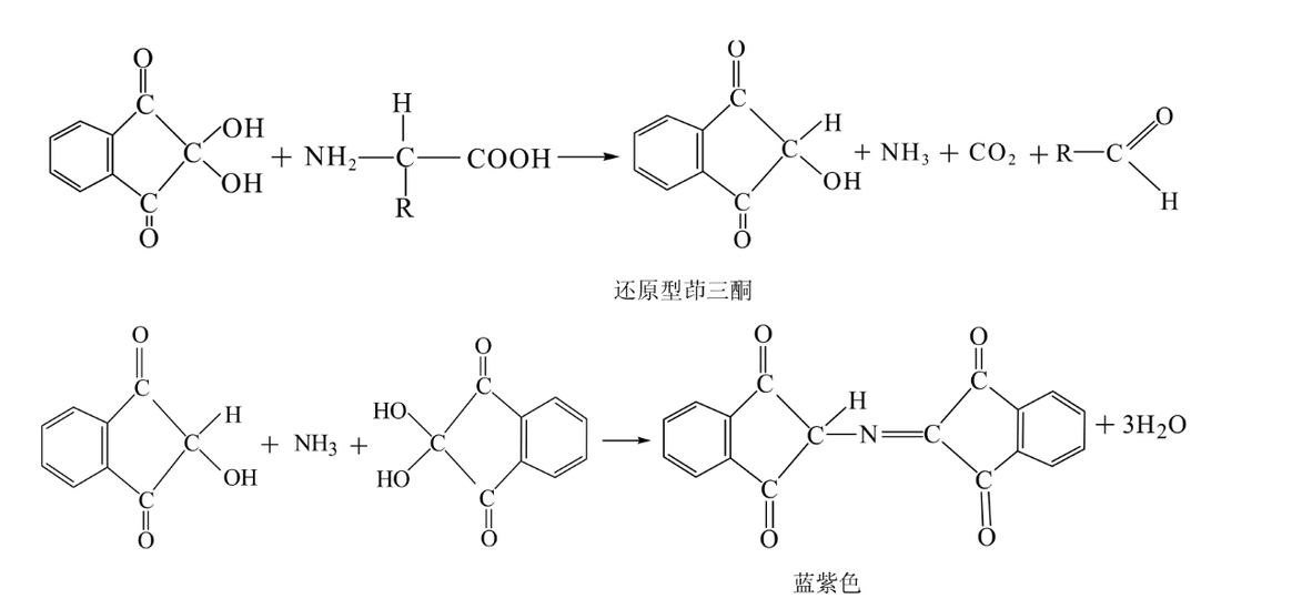 茚三酮