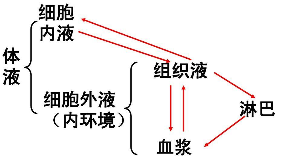 細(xì)胞外液