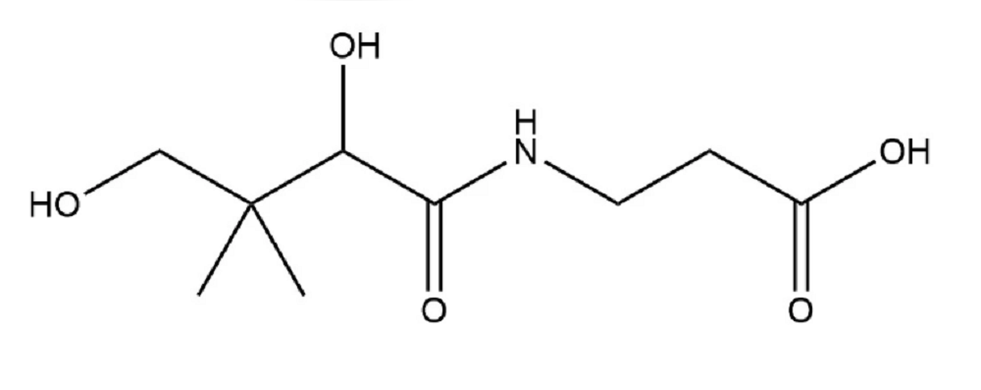 維生素B5