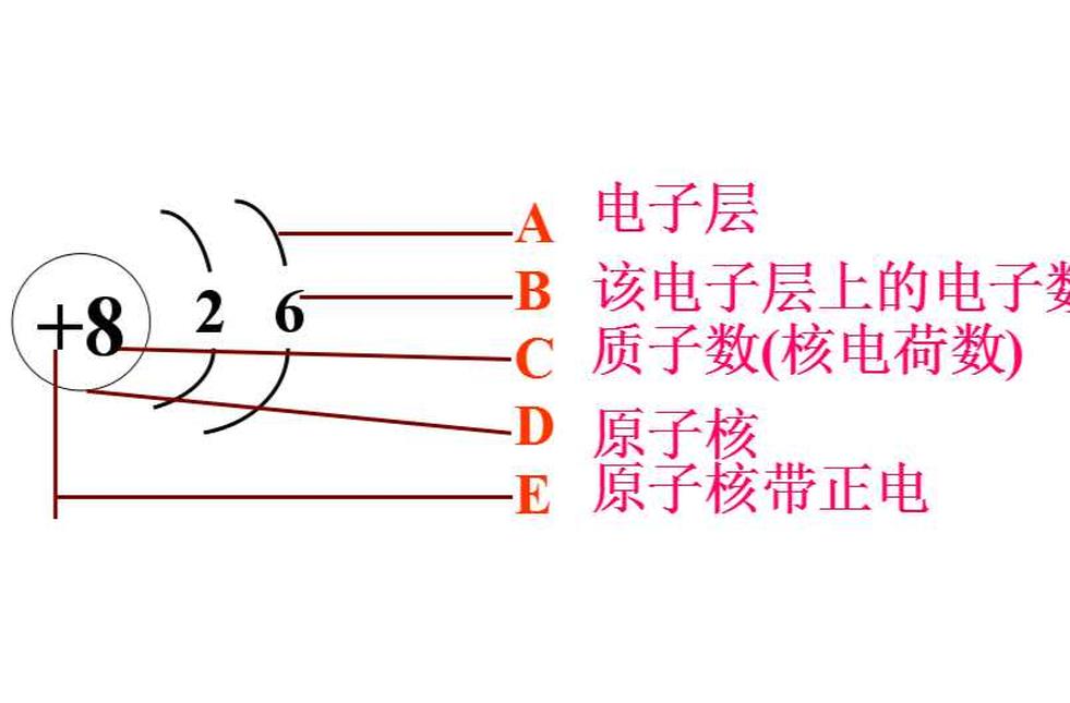 核電荷數(shù)