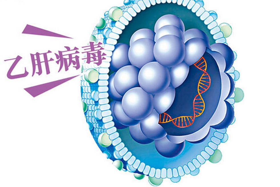 乙型病毒性肝炎