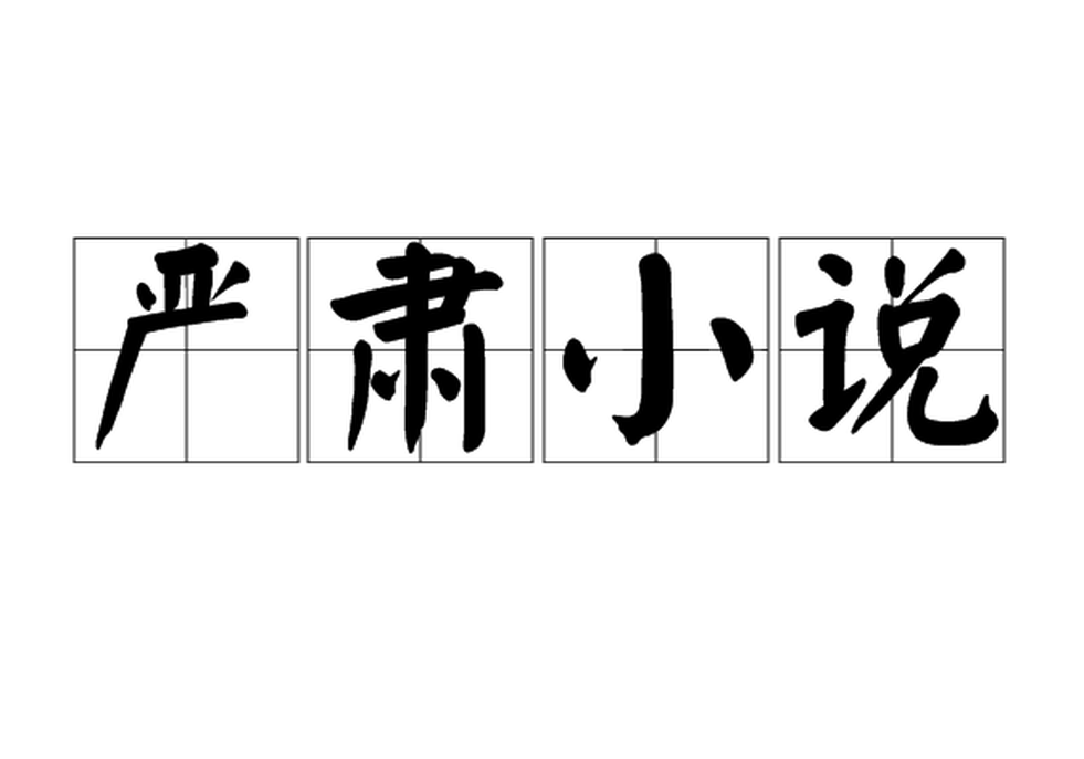 嚴(yán)肅小說(shuō)