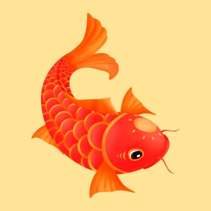 鯉魚轉(zhuǎn)