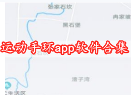 运动手环app软件合集