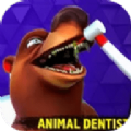 疯狂动物牙医
