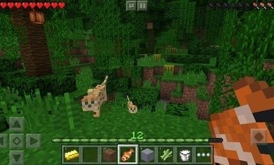 minecraft國際版2