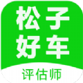 松子評(píng)估