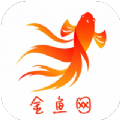 金魚(yú)網(wǎng)