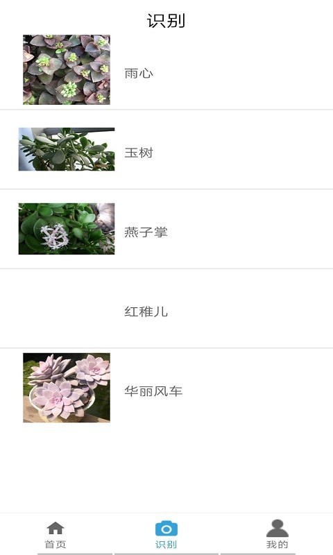 桃桃識植物1