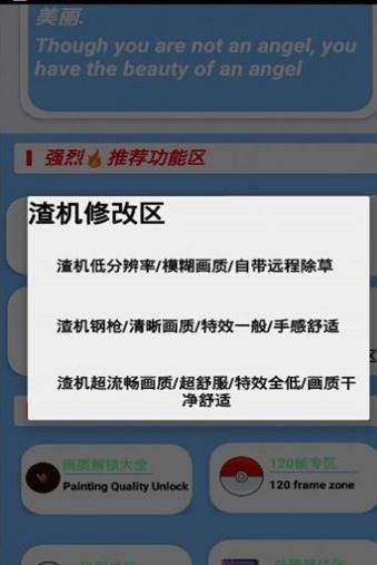 挽月畫(huà)質(zhì)助手apk1