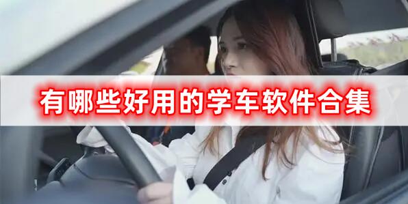 有哪些好用的學(xué)車軟件合集