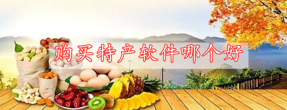 購(gòu)買特產(chǎn)軟件哪個(gè)好