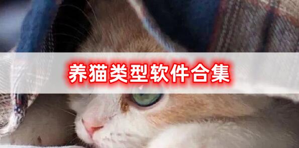 养猫类型软件合集