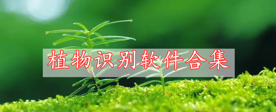 植物識別軟件合集