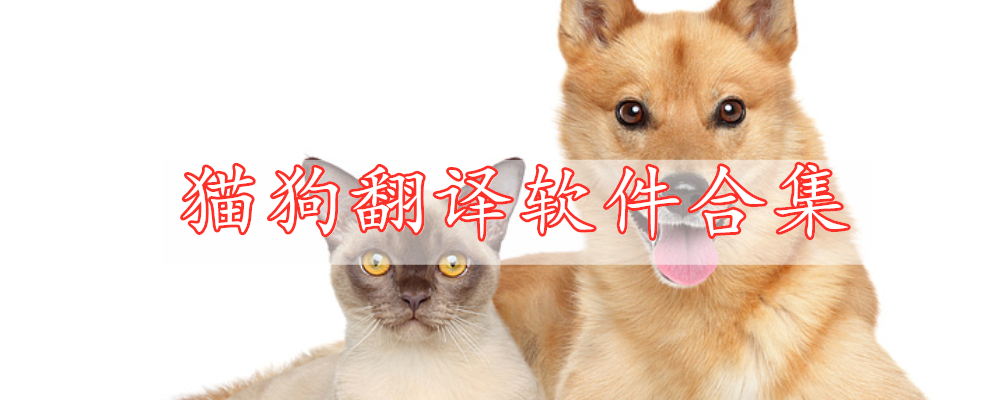 猫狗翻译软件合集