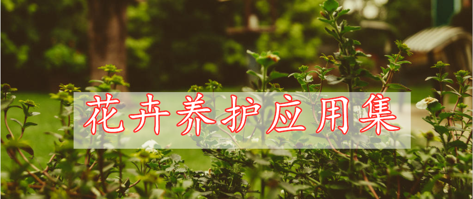 花卉養(yǎng)護(hù)應(yīng)用集