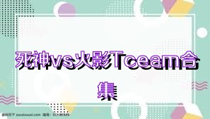 死神vs火影Tceam合集